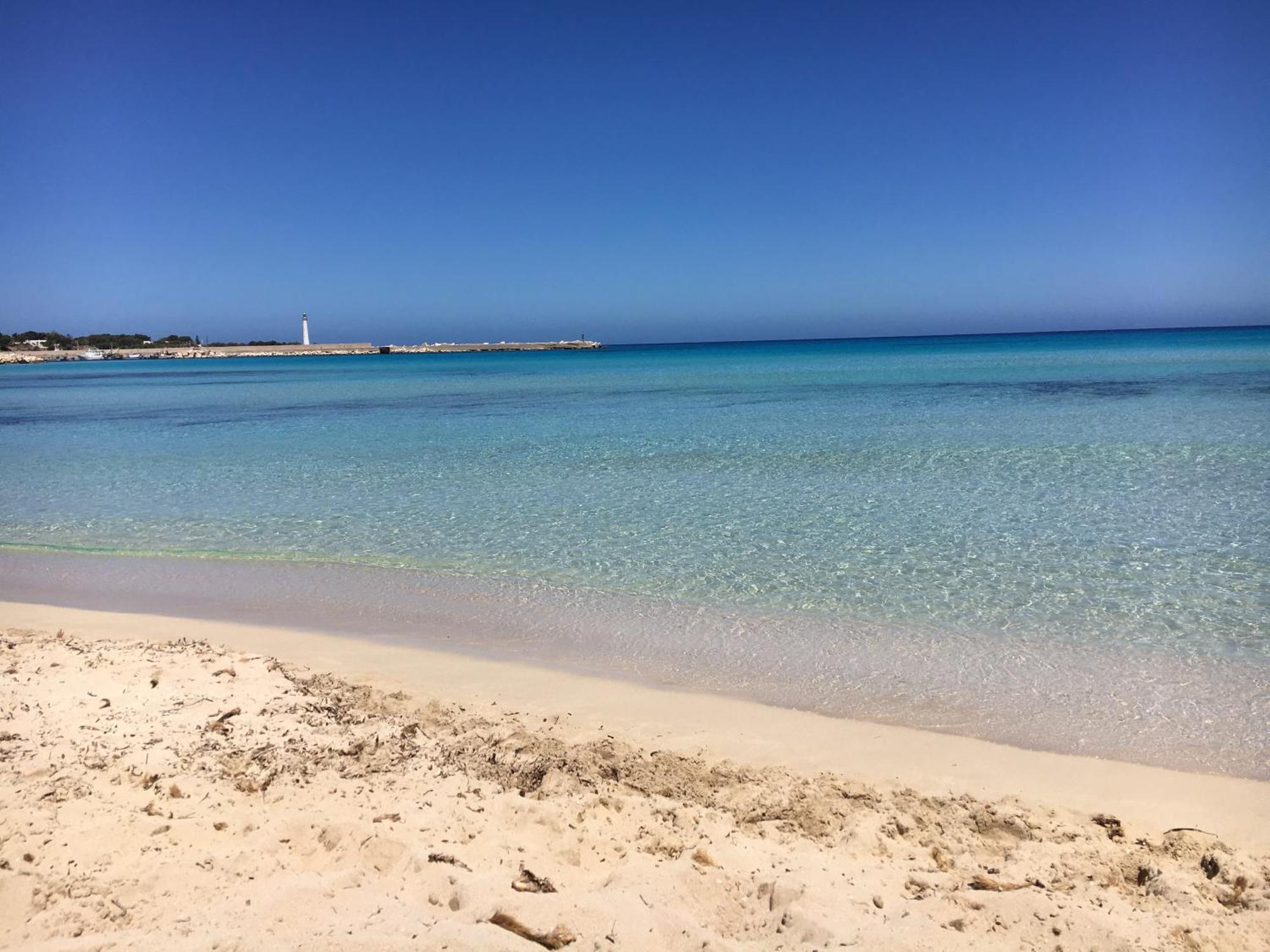 Le Case Di Palma ซานวิโต โลคาโป ภายนอก รูปภาพ
